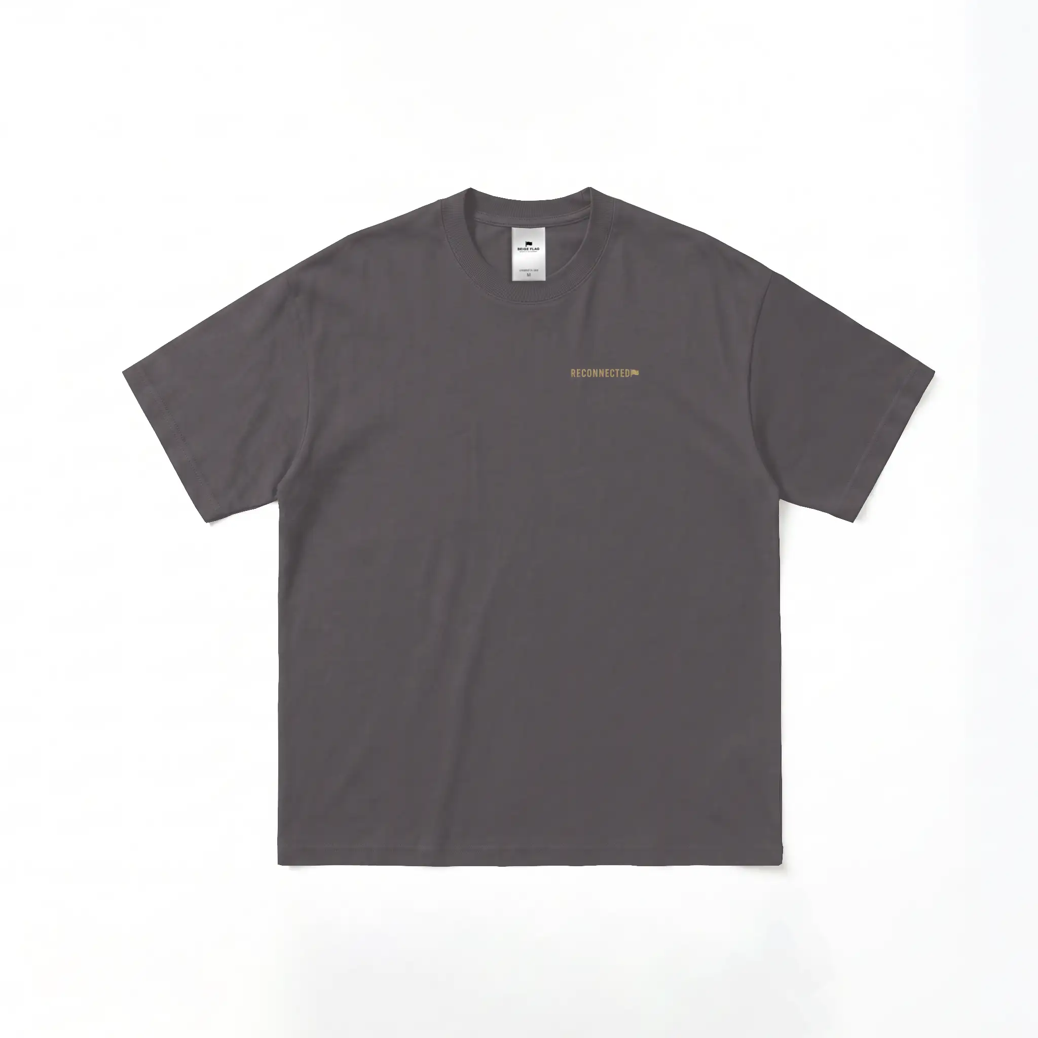 Protect Your Mind. – Oversized Heavyweight T-Shirt