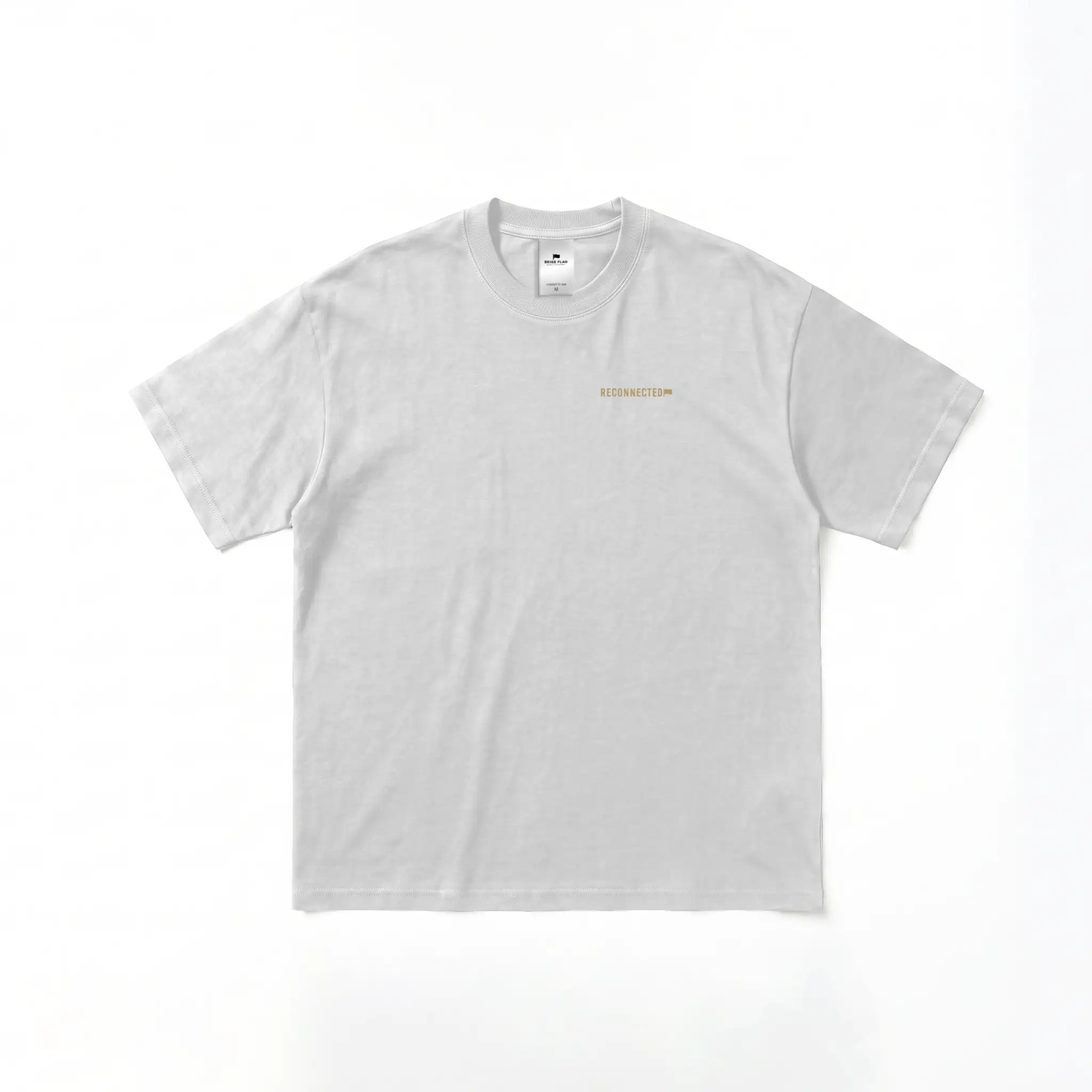 Protect Your Mind. – Oversized Heavyweight T-Shirt